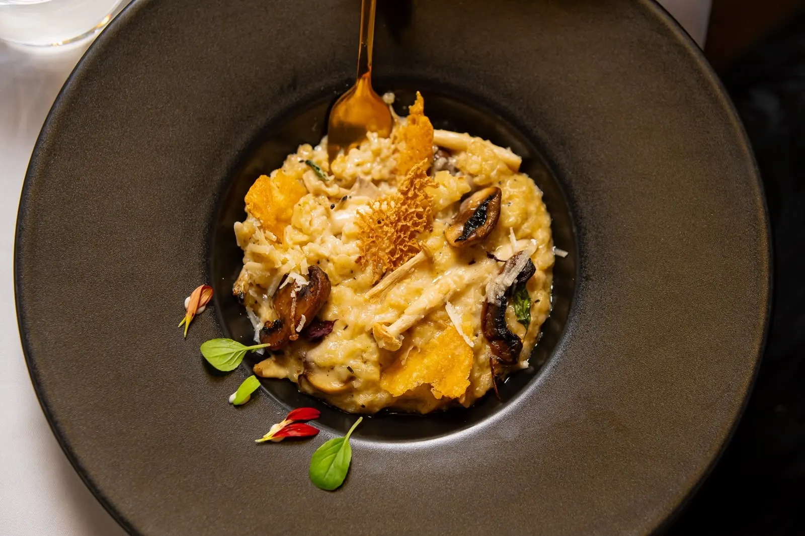 Wild mushroom risotto, parmesan lace