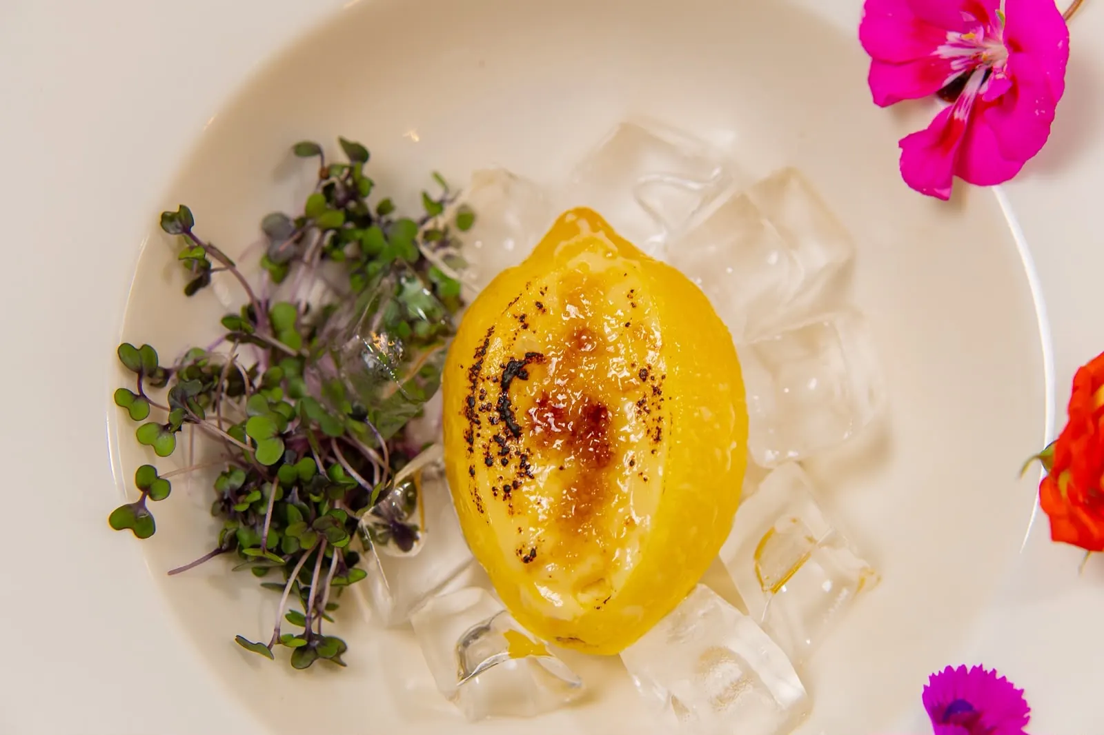 Lemon crème brûlée, micro greens